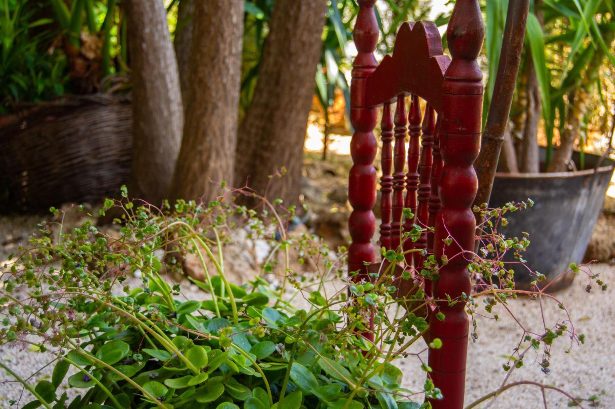 Alojamiento Rural Las Acacias 카브라 외부 사진